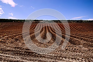 Ploughed field