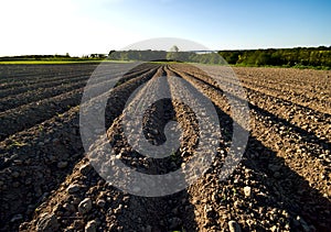 Ploughed field