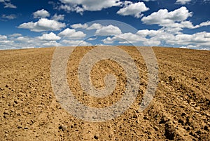 Ploughed field.