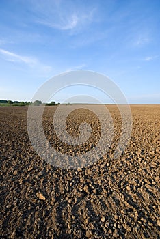 Ploughed field