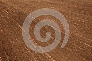 Ploughed field