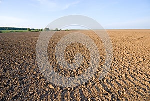 Ploughed field