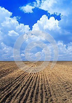 Ploughed field.