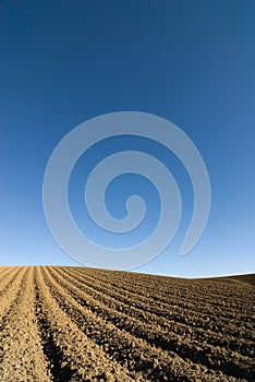 Ploughed field blue sky