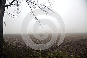Ploughed field on a foggy day in winter framed by bare trees