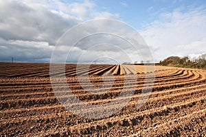 Ploughed Field Furrows