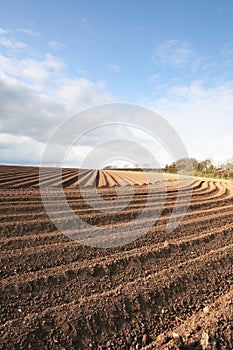 Ploughed Field Furrows