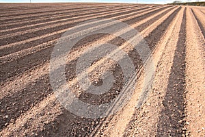 Ploughed Field Furrows