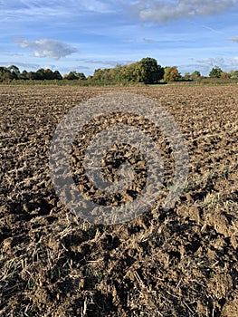 Ploughed field with furrows of soil and tree line