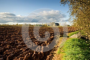 Ploughed field and house