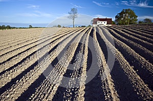 Ploughed field and house