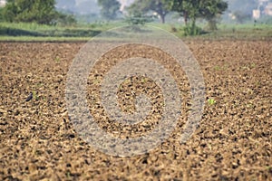 Ploughed Field after monsoon in India