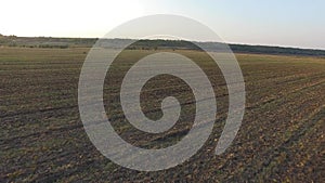 Ploughed field. The nature of the native land. Airview