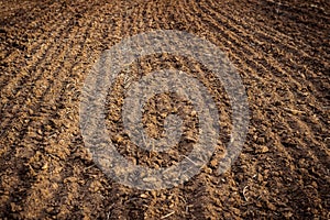 Ploughed field, soil close up, agricultural background