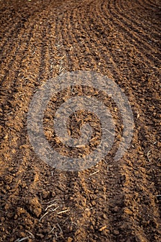 Ploughed field, soil close up, agricultural background