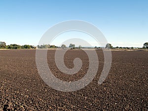 Ploughed field