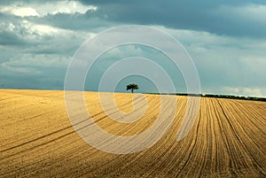 Ploughed fields in spring