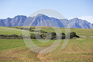 Ploughed fields in the Western Cape