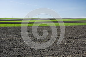 Ploughed and green strips, horizon and blue sky