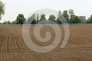 Ploughed and harrowed farm field photo