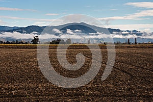 Ploughed and harrowed field photo