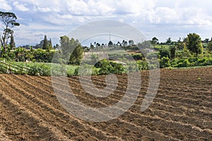 Ploughed Land