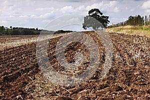 Ploughed / plowed field