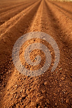 Ploughed red clay soil agriculture fields