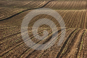 Ploughed soil