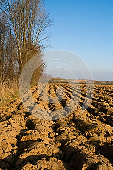 Ploughed soil