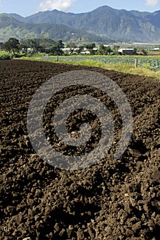 Ploughed soil agriculture fields