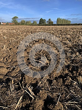 Ploughed soil in farm field and tree line