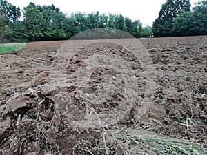 Ploughed soil in  farmlands landscape  in italy photo