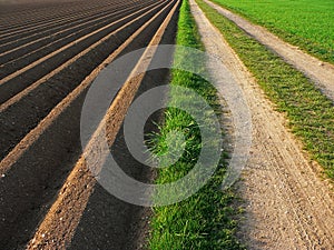 Ploughed soil beside way, agricultural background