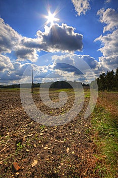 Ploughed stony field at late summer