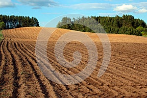 Ploughed and tilled field photo
