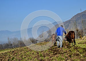 Ploughing The Field