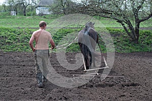 Ploughing the Field with Horses
