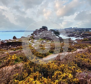 Ploumanach coast spring view (Brittany, France