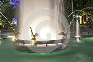 Night Photo of Fountains in front of Town Hall in City of Plovdiv