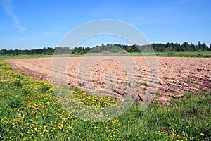 Plow field