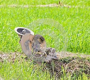 plow in paddy