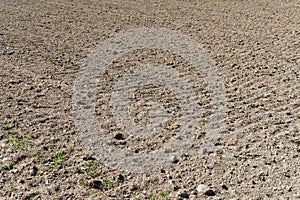 Plowed agricultural field in a countryside