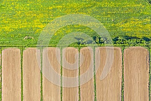 Plowed agricultural field and green meadow aerial view
