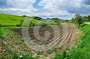 Plowed agricultural field. Tillage field et farm in sunny day. photo