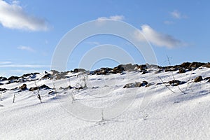 Plowed agricultural land