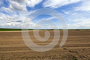 Plowed agricultural land