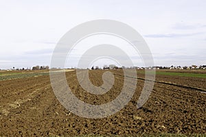 plowed agricultural land, plain