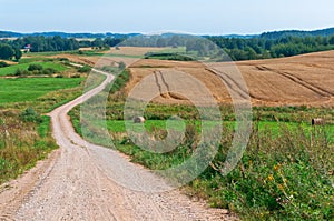 Plowed agricultural land, sown fields, field road