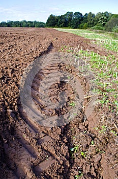 Plowed autumn farm field